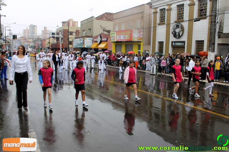 IMG_1215.jpg