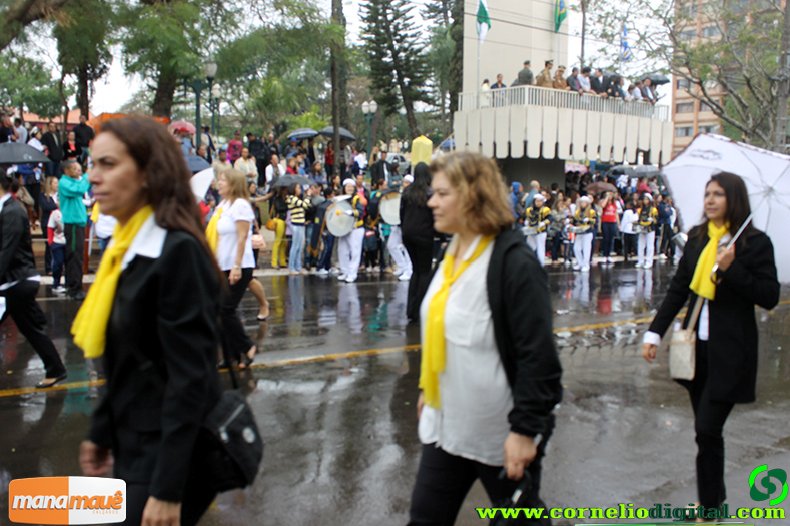 IMG_1260.jpg