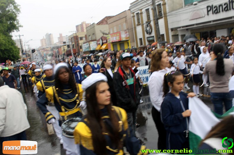 IMG_1264.jpg