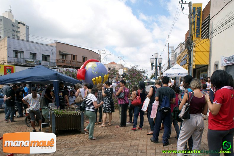 DSC08288.jpg