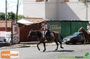 IMG_0778.jpg