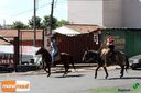 IMG_0781.jpg