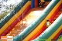 IMG_9084.jpg