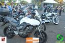 IBC_066.jpg