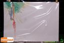 DSC02532.jpg