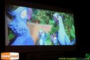 IMG_1442.jpg