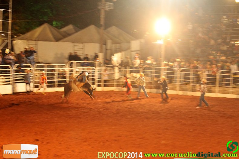 IMG_0365.jpg