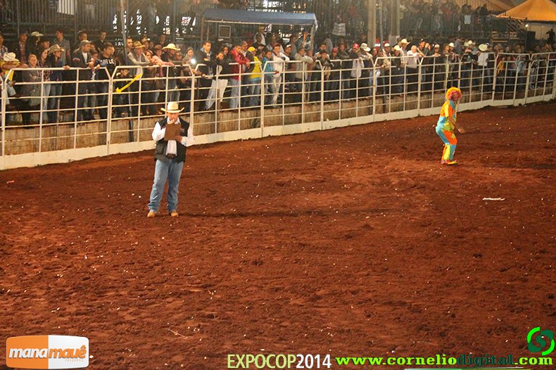 IMG_0450.jpg