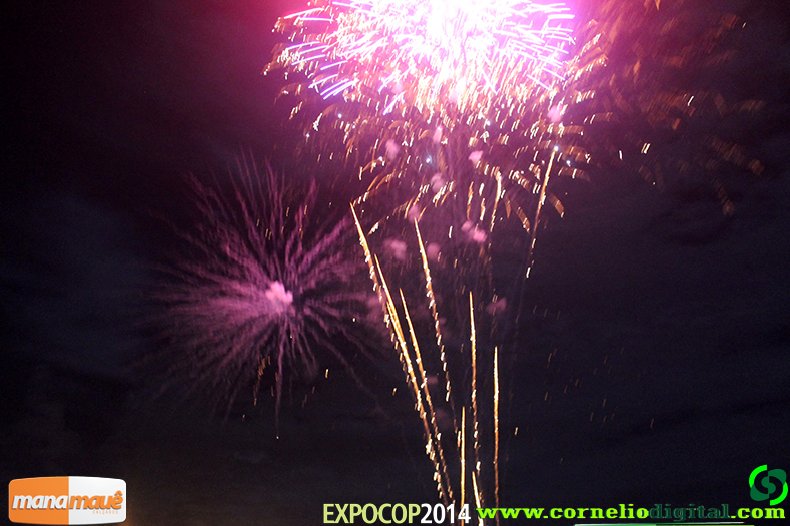 IMG_0550.jpg