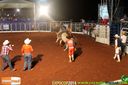 IMG_0343.jpg