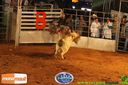 Filename=IMG_0048.jpg
Filesize=127KiB
Dimensions=790x526
Date added=Aug 07, 2014 IMG_0048.jpg