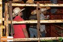 IMG_0040.jpg