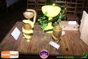 DSC04359.jpg