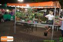 DSC01608.jpg