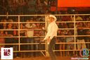 IMG_1175.jpg