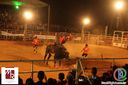 IMG_1223.jpg