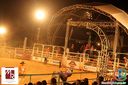 IMG_1226.jpg