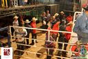 IMG_2543.jpg