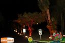Filename=IMG_8627.jpg
Filesize=68KiB
Dimensions=790x526
Date added=Oct 12, 2014 IMG_8627.jpg