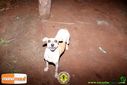 DSC01518.jpg