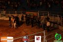 IMG_0403.jpg