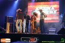 IMG_0307.jpg