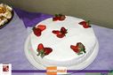 IMG_0090.jpg