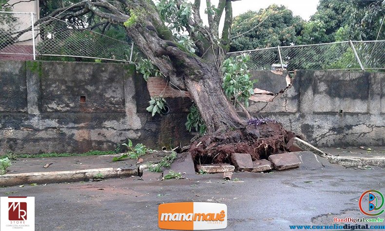 08-11-2015_chuva_forte_103.jpg