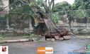 08-11-2015_chuva_forte_058.jpg