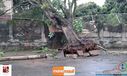 08-11-2015_chuva_forte_103.jpg