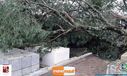 08-11-2015_chuva_forte_104.jpg