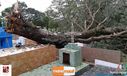 08-11-2015_chuva_forte_105.jpg