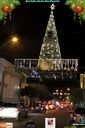 IMG_1445.jpg