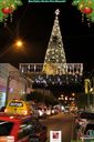IMG_1450.jpg
