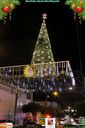IMG_1452.jpg