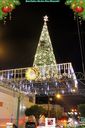 IMG_1453.jpg