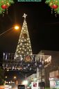 IMG_1459.jpg