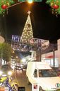 IMG_1464.jpg