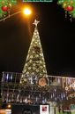 IMG_1469.jpg