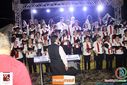 IMG_8519.jpg