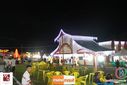 IMG_8868.jpg
