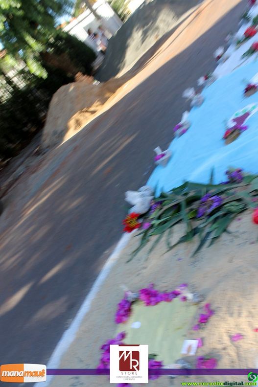 JIMG_0455.jpg