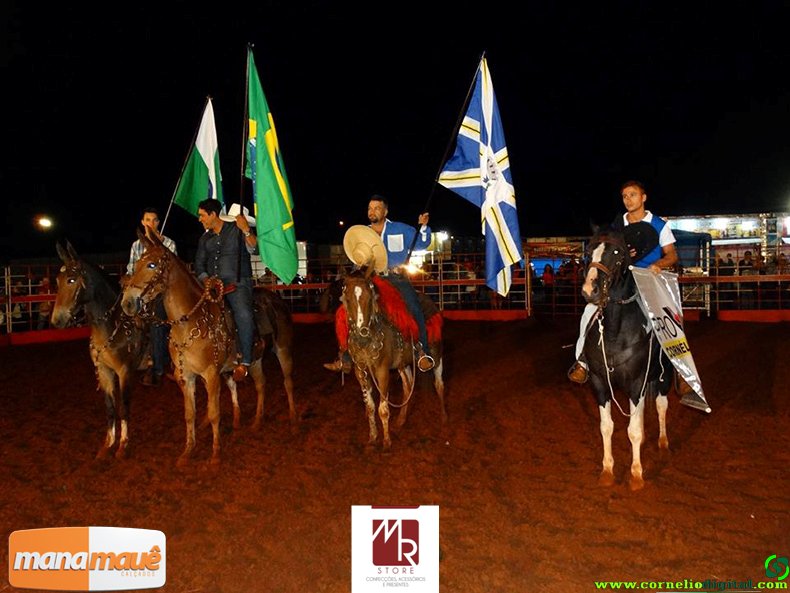 21-03-2015_rodeio_16.jpg