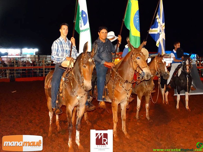 21-03-2015_rodeio_20.jpg