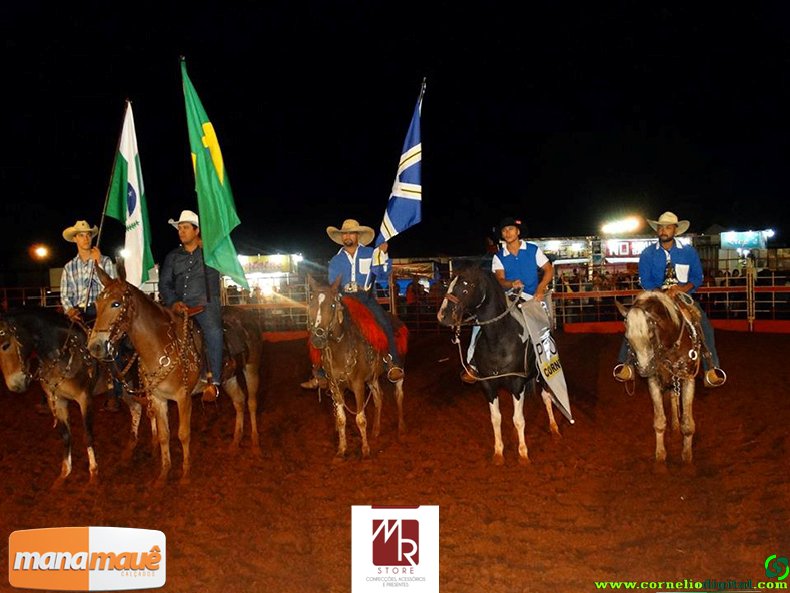 21-03-2015_rodeio_30.jpg
