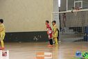 IMG_2893.jpg