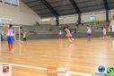 IMG_2939.jpg