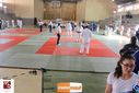 IMG_2474.jpg