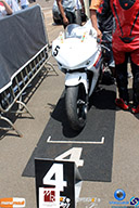 IMG_7519.jpg