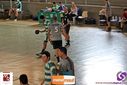 IMG_7278.jpg